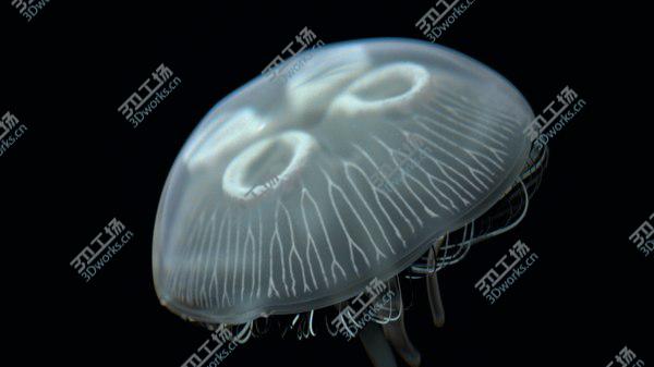images/goods_img/20210312/jellyfish 3D model/3.jpg